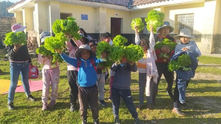 Anemia y desnutrición